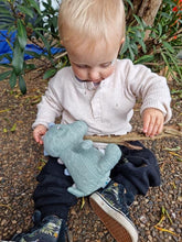 Load image into Gallery viewer, The Deluxe Evimals