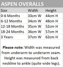 Load image into Gallery viewer, Aspen Overalls