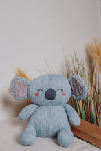 Load image into Gallery viewer, The Deluxe Evimals